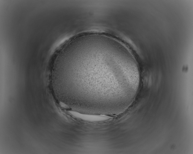 X0000094461448200711211530