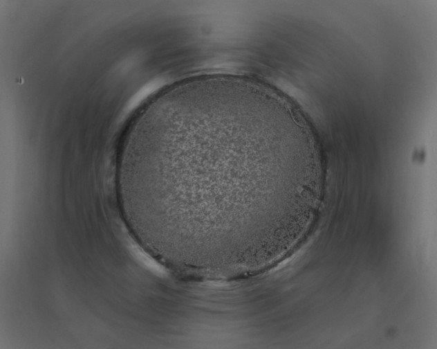 X0000094461450200711211530
