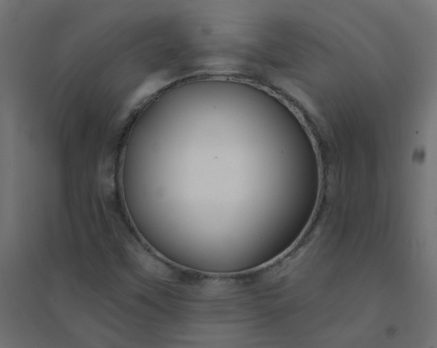 X0000094461451200711211530