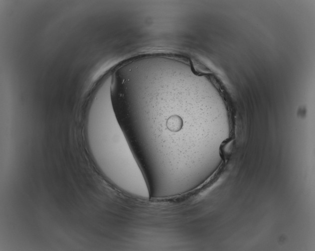 X0000094461453200711211530