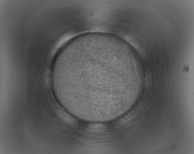 X0000094461454200711211530