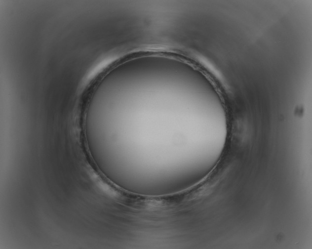X0000094461456200711211530