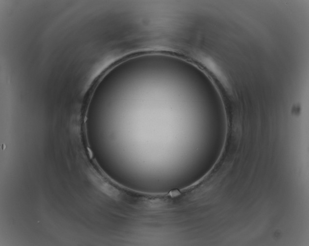 X0000094461460200711211530