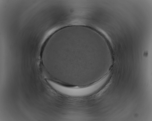 X0000094461461200711211530