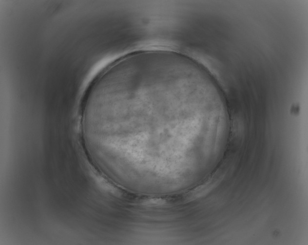 X0000094461462200711211530