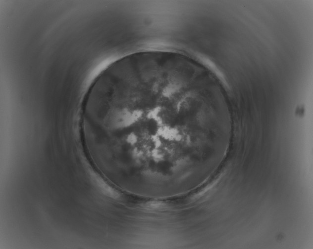 X0000094461463200711211530