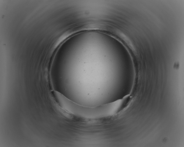 X0000094461465200711211530
