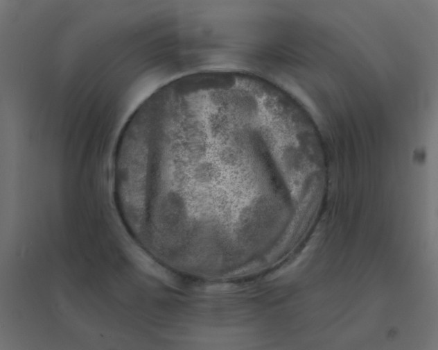 X0000094461467200711211530