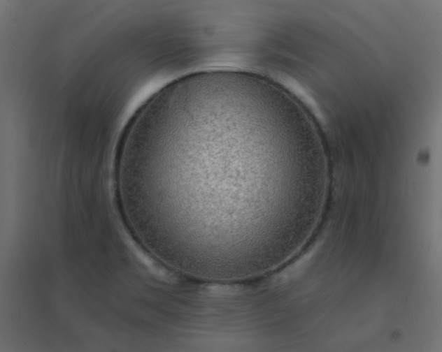 X0000094461469200711211530