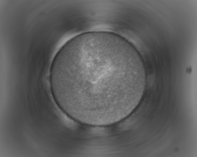 X0000094461470200711211530