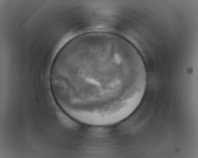 X0000094461474200711211530