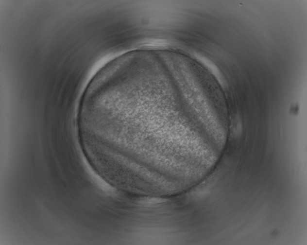 X0000094461475200711211529