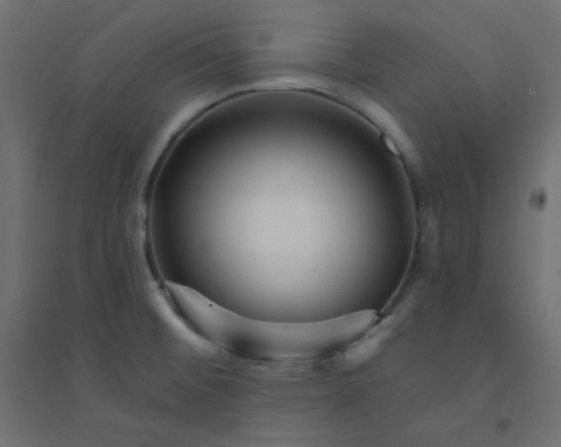 X0000094461476200711211529