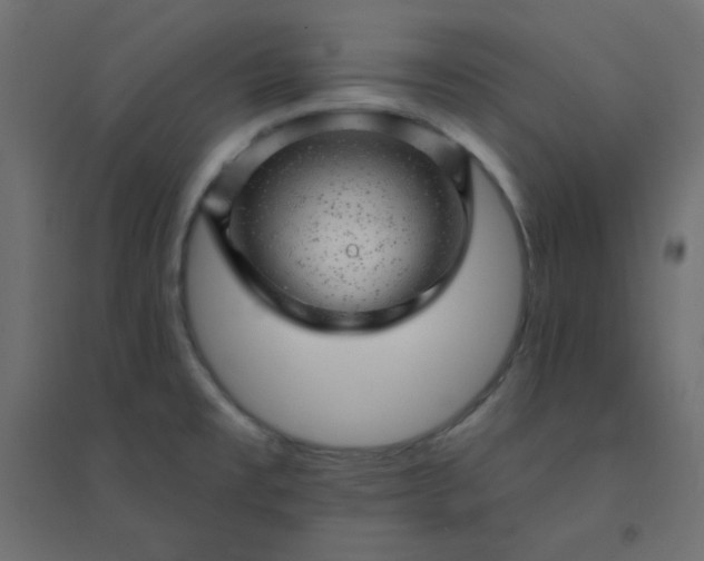 X0000094461477200711211529