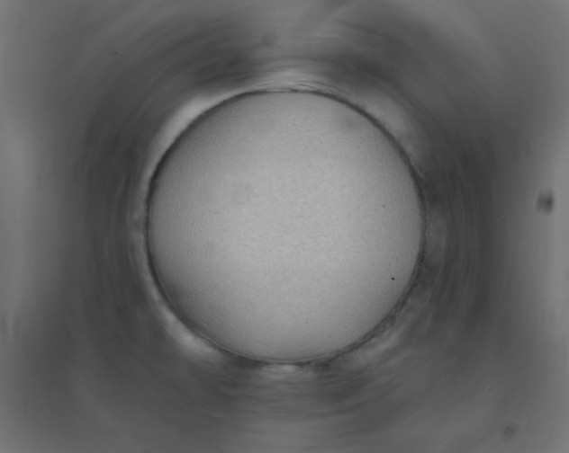 X0000094461478200711211529