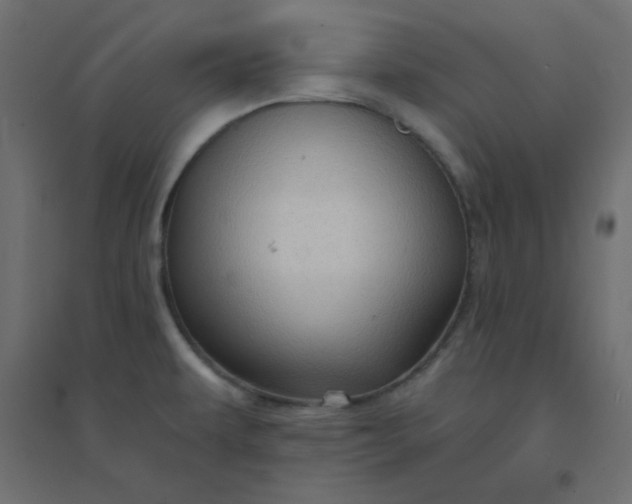 X0000094461479200711211529