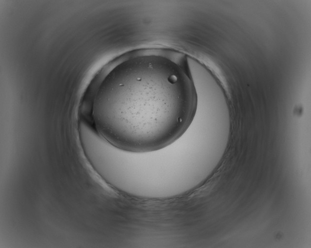 X0000094461480200711211529