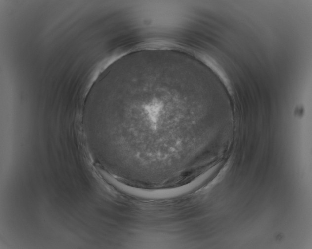 X0000094461481200711211529