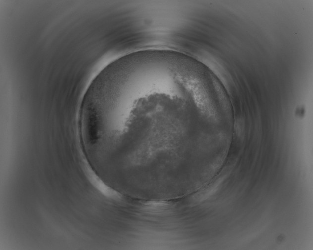 X0000094461482200711211529