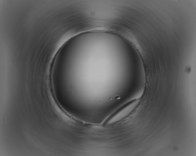 X0000094461483200711211529