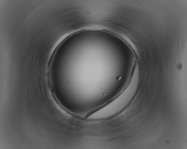 X0000094461484200711211529