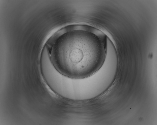 X0000094461485200711211529