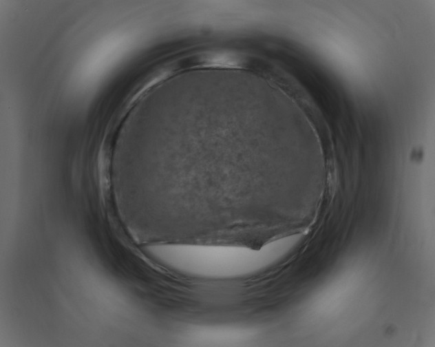 X0000094461487200711211529