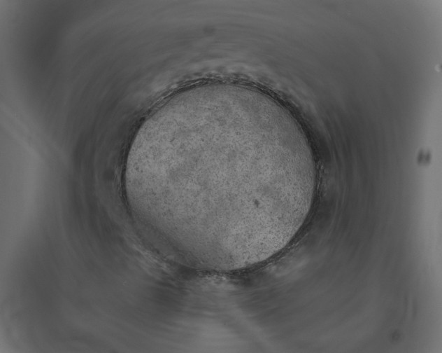 X0000094461489200711211529