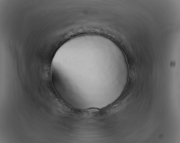 X0000094461490200711211529