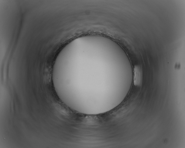 X0000094461491200711211529