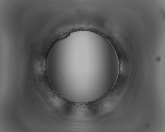 X0000094461492200711211529