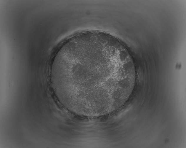 X0000094461494200711211529