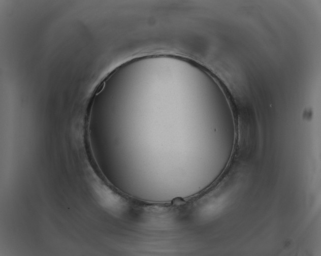 X0000094461500200711211529