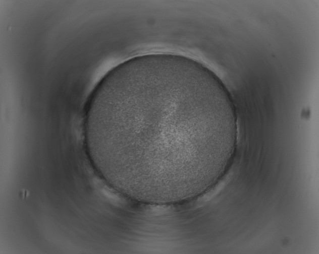X0000094461501200711211529