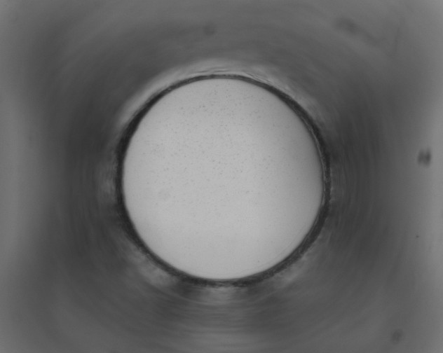 X0000094461502200711211529