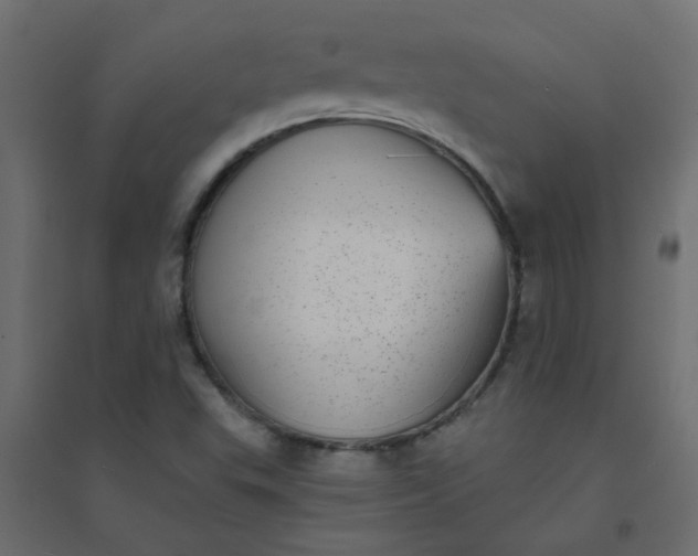 X0000094461503200711211529