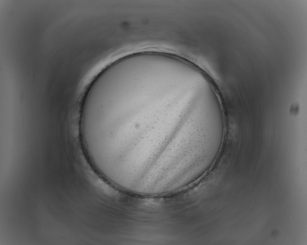 X0000094461504200711211529
