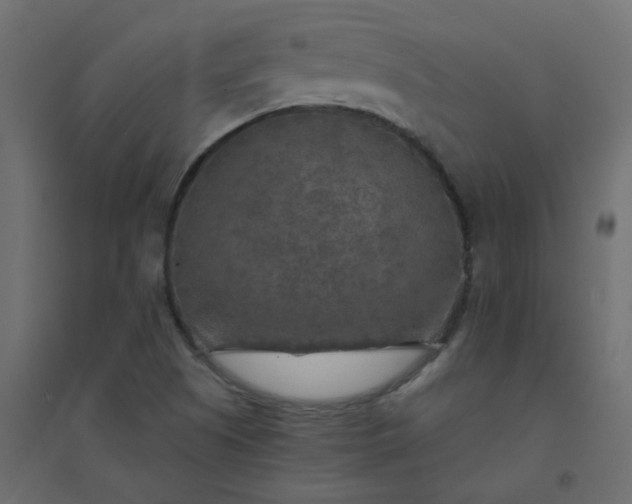 X0000094461505200711211529