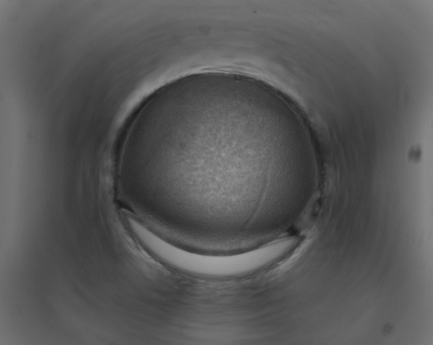 X0000094461506200711211529