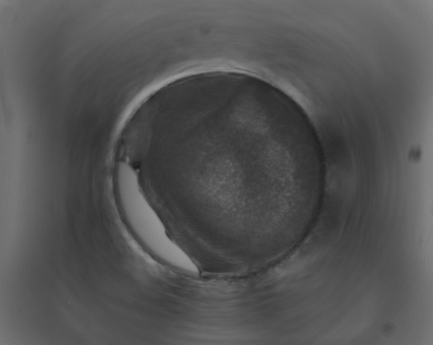X0000094461508200711211529
