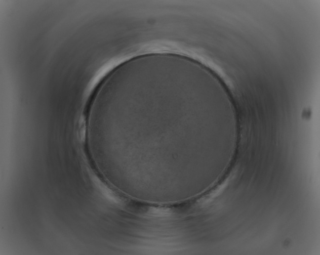 X0000094461509200711211529