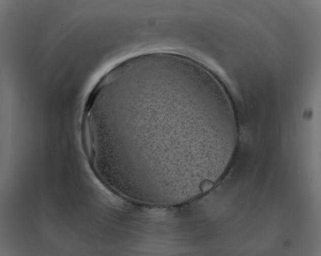X0000094461512200711211529