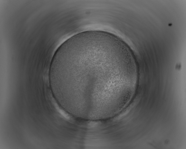 X0000094461513200711211529