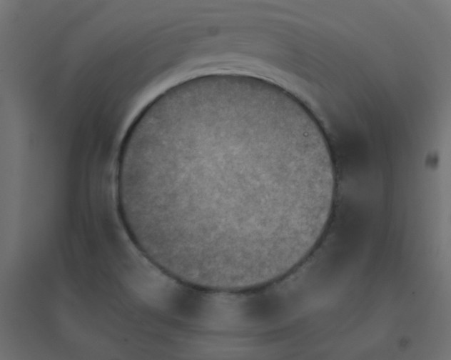 X0000094461514200711211529
