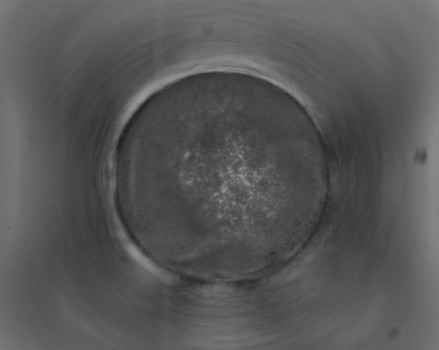 X0000094461515200711211529