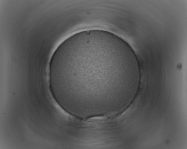 X0000094461516200711211529