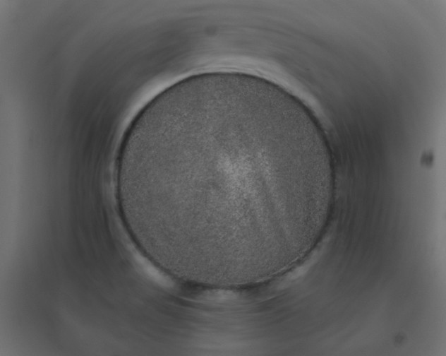 X0000094461517200711211529
