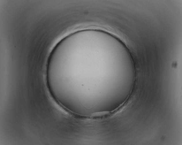 X0000094461518200711211529