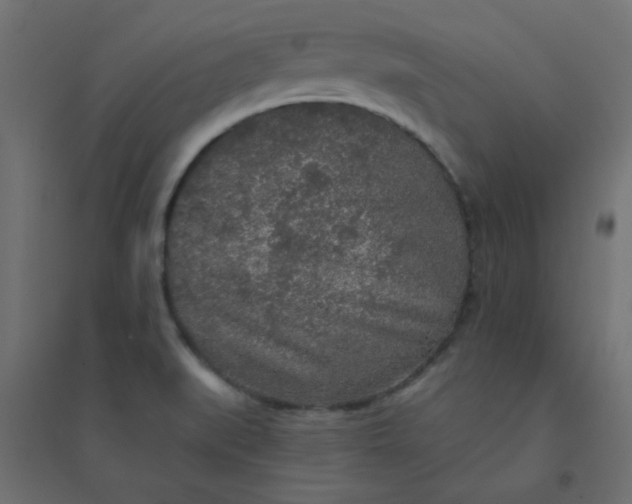 X0000094461519200711211529