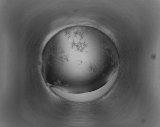 X0000094461520200711211529